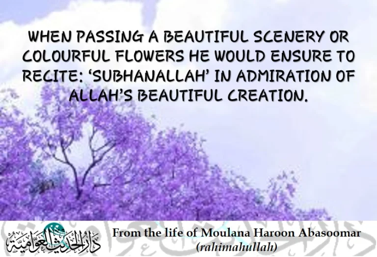 Allah’s creation